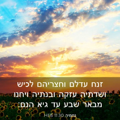 Picture 03 - נחמיה 11:30 HEB - זנח עדלם וחצריהם לכיש - Bible Verse Picture
