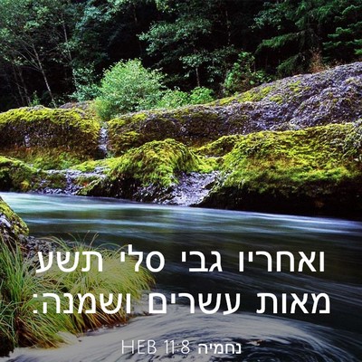 Picture 03 - נחמיה 11:8 HEB - ואחריו גבי סלי תשע מאות - Bible Verse Picture