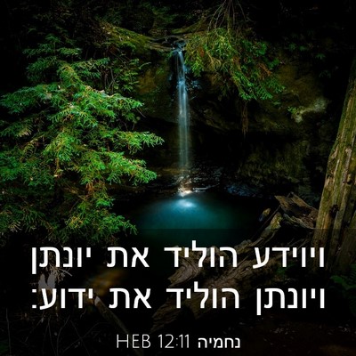 Picture 03 - נחמיה 12:11 HEB - ויוידע הוליד את יונתן - Bible Verse Picture