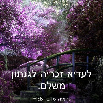 Picture 03 - נחמיה 12:16 HEB - לעדיא זכריה לגנתון - Bible Verse Picture