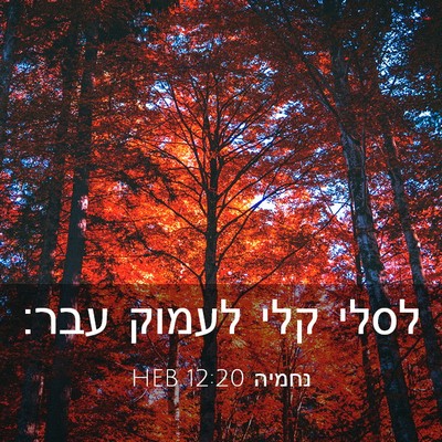 Picture 03 - נחמיה 12:20 HEB - לסלי קלי לעמוק - Bible Verse Picture