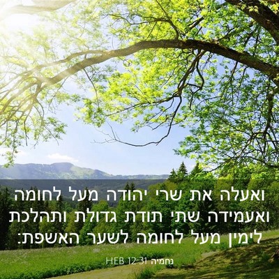 Picture 03 - נחמיה 12:31 HEB - ואעלה את שרי יהודה מעל - Bible Verse Picture