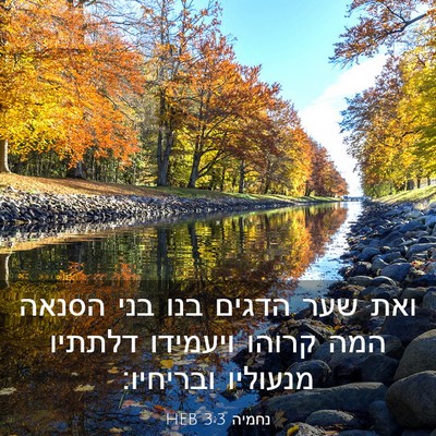 Picture 03 - נחמיה 3:3 HEB - ואת שער הדגים בנו בני הסנאה - Bible Verse Picture