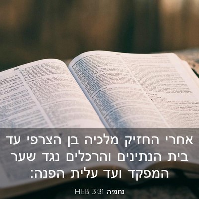 Picture 03 - נחמיה 3:31 HEB - אחרי החזיק מלכיה בן הצרפי - Bible Verse Picture