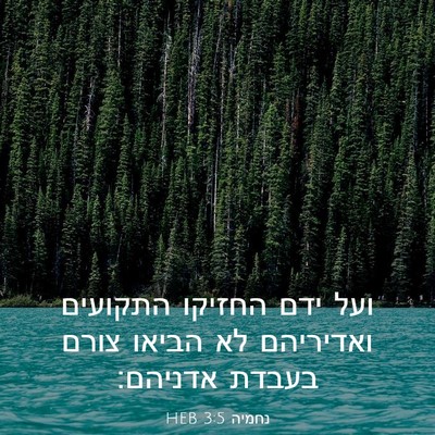 Picture 03 - נחמיה 3:5 HEB - ועל ידם החזיקו התקועים - Bible Verse Picture