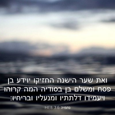 Picture 03 - נחמיה 3:6 HEB - ואת שער הישנה החזיקו יוידע - Bible Verse Picture
