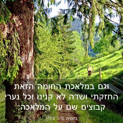 Picture 03 - נחמיה 5:16 HEB - וגם במלאכת החומה הזאת - Bible Verse Picture