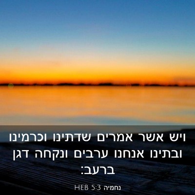 Picture 03 - נחמיה 5:3 HEB - ויש אשר אמרים שדתינו - Bible Verse Picture