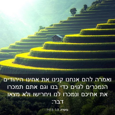 Picture 03 - נחמיה 5:8 HEB - ואמרה להם אנחנו קנינו את - Bible Verse Picture