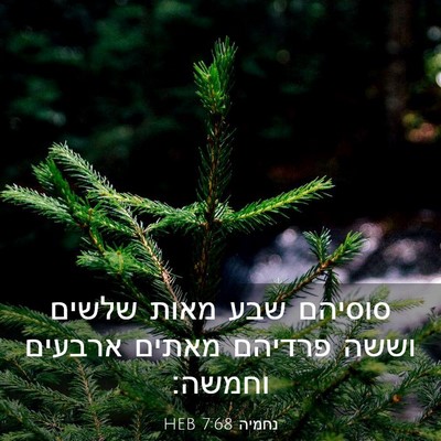 Picture 03 - נחמיה 7:68 HEB - סוסיהם שבע מאות שלשים וששה - Bible Verse Picture