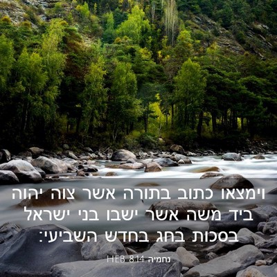 Picture 03 - נחמיה 8:14 HEB - וימצאו כתוב בתורה אשר צוה - Bible Verse Picture