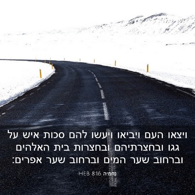 Picture 03 - נחמיה 8:16 HEB - ויצאו העם ויביאו ויעשו להם - Bible Verse Picture