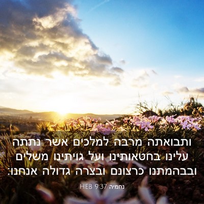 Picture 03 - נחמיה 9:37 HEB - ותבואתה מרבה למלכים אשר - Bible Verse Picture