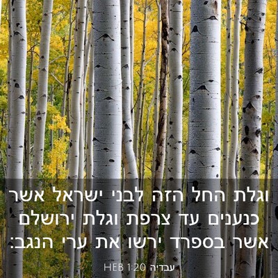 Picture 03 - עבדיה 1:20 HEB - וגלת החל הזה לבני ישראל אשר - Bible Verse Picture