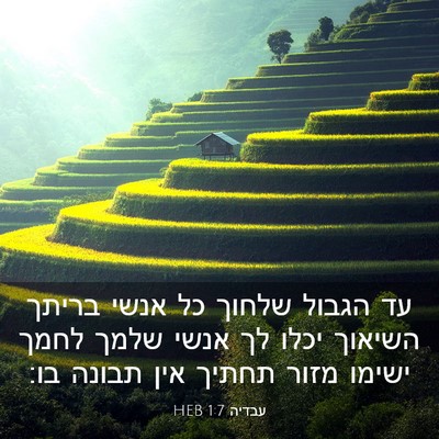 Picture 03 - עבדיה 1:7 HEB - עד הגבול שלחוך כל אנשי - Bible Verse Picture