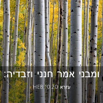 Picture 03 - עזרא 10:20 HEB - ומבני אמר חנני - Bible Verse Picture