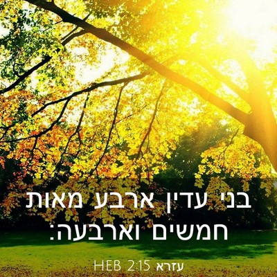 Picture 03 - עזרא 2:15 HEB - בני עדין ארבע מאות חמשים - Bible Verse Picture