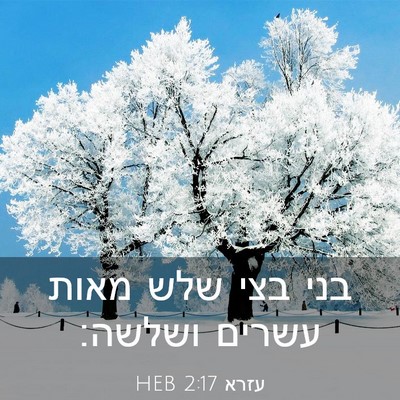 Picture 03 - עזרא 2:17 HEB - בני בצי שלש מאות עשרים - Bible Verse Picture