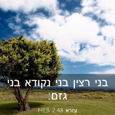 Picture 03 - עזרא 2:48 HEB - בני רצין בני נקודא בני - Bible Verse Picture