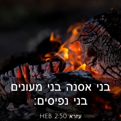 Picture 03 - עזרא 2:50 HEB - בני אסנה בני מעונים בני - Bible Verse Picture