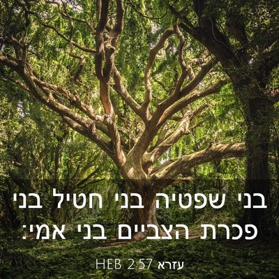 Picture 03 - עזרא 2:57 HEB - בני שפטיה בני חטיל בני פכרת - Bible Verse Picture