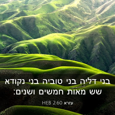 Picture 03 - עזרא 2:60 HEB - בני דליה בני טוביה בני - Bible Verse Picture
