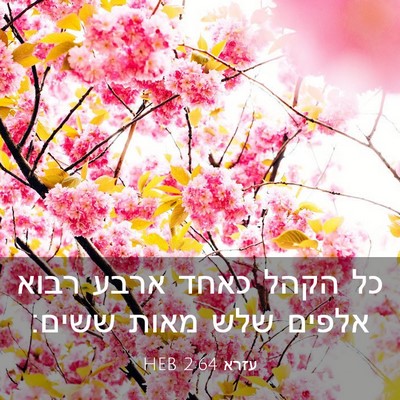 Picture 03 - עזרא 2:64 HEB - כל הקהל כאחד ארבע רבוא - Bible Verse Picture