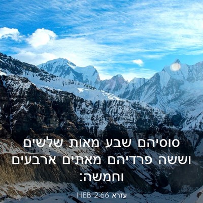 Picture 03 - עזרא 2:66 HEB - סוסיהם שבע מאות שלשים וששה - Bible Verse Picture