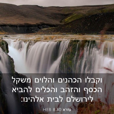 Picture 03 - עזרא 8:30 HEB - וקבלו הכהנים והלוים משקל - Bible Verse Picture
