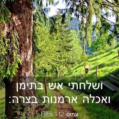 Picture 03 - עמוס 1:12 HEB - ושלחתי אש בתימן ואכלה - Bible Verse Picture