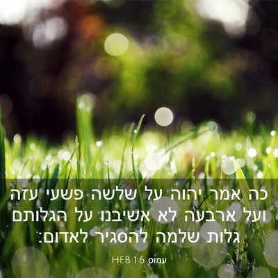 Picture 03 - עמוס 1:6 HEB - כה אמר יהוה על שלשה פשעי - Bible Verse Picture