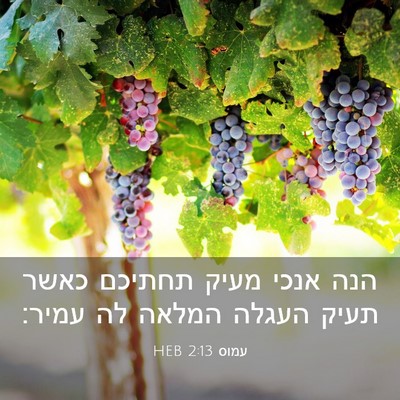 Picture 03 - עמוס 2:13 HEB - הנה אנכי מעיק תחתיכם כאשר - Bible Verse Picture