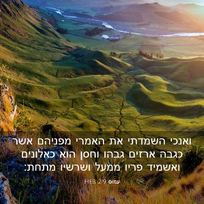 Picture 03 - עמוס 2:9 HEB - ואנכי השמדתי את האמרי - Bible Verse Picture