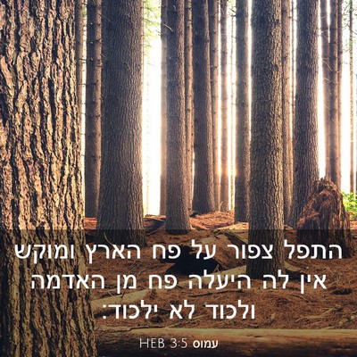 Picture 03 - עמוס 3:5 HEB - התפל צפור על פח הארץ ומוקש - Bible Verse Picture