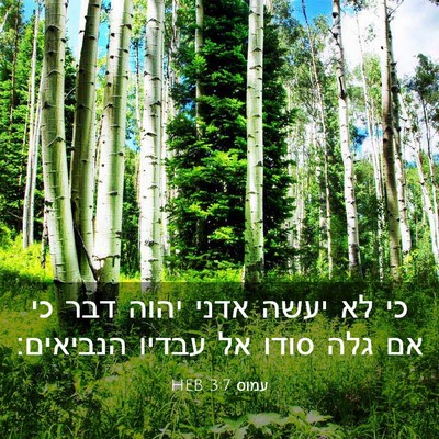 Picture 03 - עמוס 3:7 HEB - כי לא יעשה אדני יהוה דבר כי - Bible Verse Picture