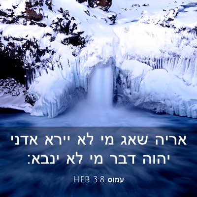 Picture 03 - עמוס 3:8 HEB - אריה שאג מי לא יירא אדני - Bible Verse Picture