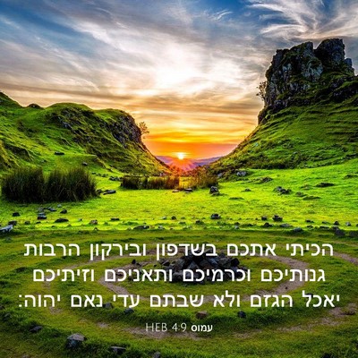 Picture 03 - עמוס 4:9 HEB - הכיתי אתכם בשדפון ובירקון - Bible Verse Picture