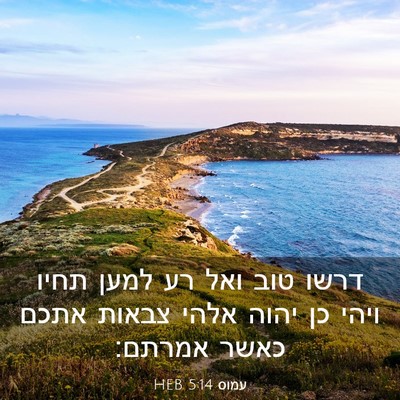 Picture 03 - עמוס 5:14 HEB - דרשו טוב ואל רע למען תחיו - Bible Verse Picture