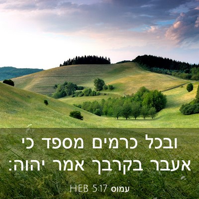 Picture 03 - עמוס 5:17 HEB - ובכל כרמים מספד כי אעבר - Bible Verse Picture
