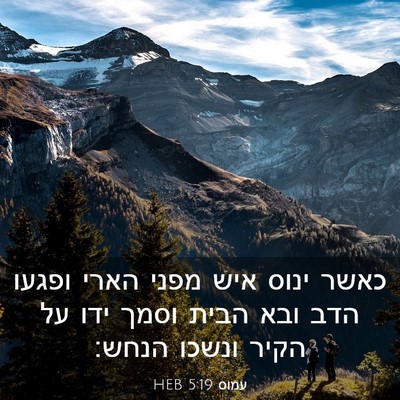 Picture 03 - עמוס 5:19 HEB - כאשר ינוס איש מפני הארי - Bible Verse Picture