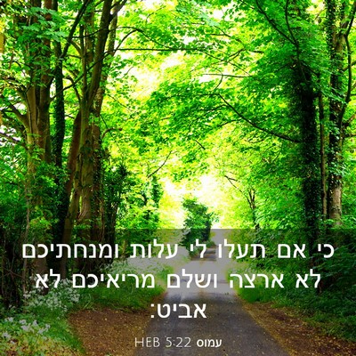 Picture 03 - עמוס 5:22 HEB - כי אם תעלו לי עלות ומנחתיכם - Bible Verse Picture