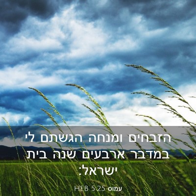 Picture 03 - עמוס 5:25 HEB - הזבחים ומנחה הגשתם לי - Bible Verse Picture
