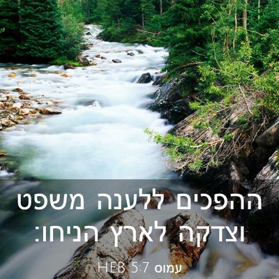 Picture 03 - עמוס 5:7 HEB - ההפכים ללענה משפט וצדקה - Bible Verse Picture