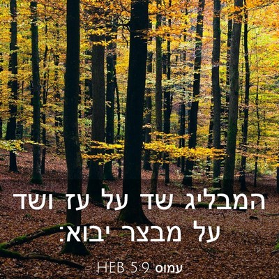 Picture 03 - עמוס 5:9 HEB - המבליג שד על עז ושד על מבצר - Bible Verse Picture