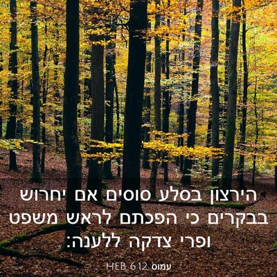 Picture 03 - עמוס 6:12 HEB - הירצון בסלע סוסים אם יחרוש - Bible Verse Picture