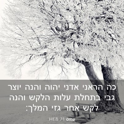Picture 03 - עמוס 7:1 HEB - כה הראני אדני יהוה והנה - Bible Verse Picture