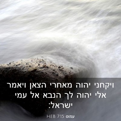 Picture 03 - עמוס 7:15 HEB - ויקחני יהוה מאחרי הצאן - Bible Verse Picture