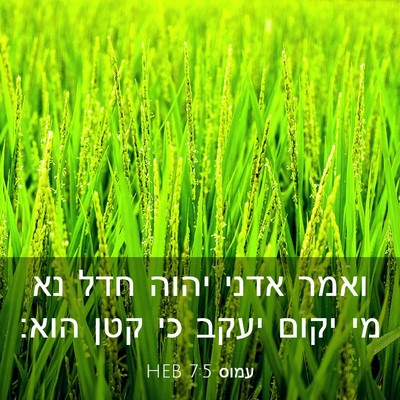 Picture 03 - עמוס 7:5 HEB - ואמר אדני יהוה חדל נא מי - Bible Verse Picture
