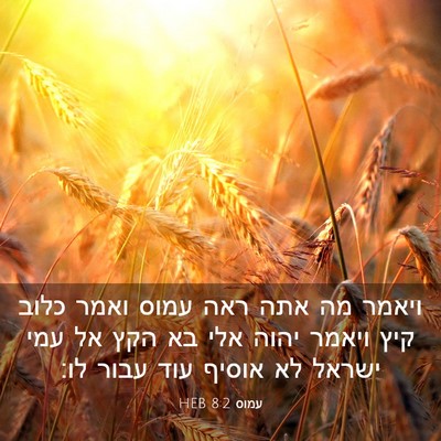 Picture 03 - עמוס 8:2 HEB - ויאמר מה אתה ראה עמוס ואמר - Bible Verse Picture