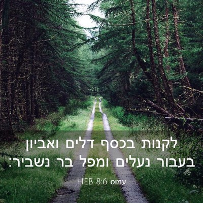 Picture 03 - עמוס 8:6 HEB - לקנות בכסף דלים ואביון - Bible Verse Picture